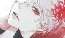 男生的动漫,探寻男生角色的魅力世界